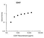 CD47 Antibody in ELISA (ELISA)
