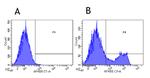 CD3e Chimeric Antibody in Flow Cytometry (Flow)