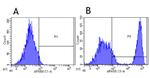 CD20 (Rituximab Biosimilar) Antibody in Flow Cytometry (Flow)