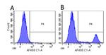 Rituximab Chimeric Antibody in Flow Cytometry (Flow)