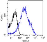 CD8a Chimeric Antibody in Flow Cytometry (Flow)