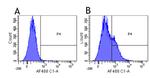 Basiliximab Chimeric Antibody in Flow Cytometry (Flow)