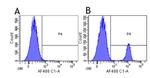 CD19 Chimeric Antibody in Flow Cytometry (Flow)