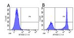 CD4 Chimeric Antibody in Flow Cytometry (Flow)
