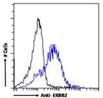 ErbB2 (HER-2) Antibody in Flow Cytometry (Flow)