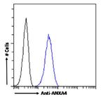 Annexin A4 Antibody in Flow Cytometry (Flow)
