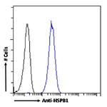 HSP27 Antibody in Flow Cytometry (Flow)