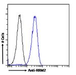 RRM2 Antibody in Flow Cytometry (Flow)