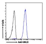 UBC9 Antibody in Flow Cytometry (Flow)