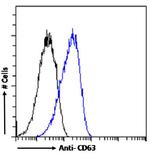 CD63 Chimeric Recombinant Mouse Monoclonal Antibody (MOF11)