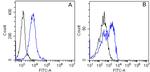 ITGA5/ITGB1 (Volociximab Biosimilar) Antibody in Flow Cytometry (Flow)