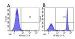 CD4 (Clenoliximab Biosimilar) Recombinant Rabbit Monoclonal Antibody (CE9.1 (Clenoliximab))