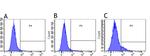 CD30 Chimeric Recombinant Rabbit Monoclonal Antibody (Ki-4)