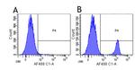 CD19 Chimeric Antibody in Flow Cytometry (Flow)