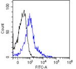 L-Selectin (CD62L) Chimeric Antibody in Flow Cytometry (Flow)