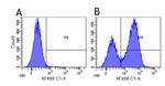 CD3e Chimeric Antibody in Flow Cytometry (Flow)