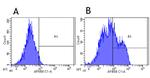 CD22 (Epratuzumab Biosimilar) Antibody in Flow Cytometry (Flow)