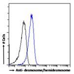 Desmosome/Hemidesmosome Chimeric Antibody in Flow Cytometry (Flow)