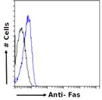 FAS (CD95) Chimeric Recombinant Rabbit Monoclonal Antibody (R-125224)