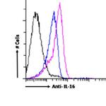 IL-16 Chimeric Recombinant Rabbit Monoclonal Antibody (14.1)