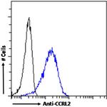 CCRL2 Chimeric Antibody in Flow Cytometry (Flow)