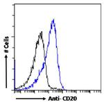 CD20 Chimeric Antibody in Flow Cytometry (Flow)