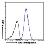 TSPAN1 Chimeric Antibody in Flow Cytometry (Flow)