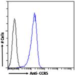 Phospho-CCR5 (Ser349) Chimeric Antibody in Flow Cytometry (Flow)