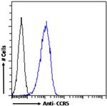 Phospho-CCR5 (Ser337) Chimeric Antibody in Flow Cytometry (Flow)