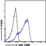 CD80 (B7-1) Chimeric Antibody in Flow Cytometry (Flow)