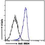 BRD4 Chimeric Antibody in Flow Cytometry (Flow)