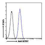 SETD7 Chimeric Antibody in Flow Cytometry (Flow)
