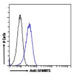 SFMBT1 Chimeric Antibody in Flow Cytometry (Flow)
