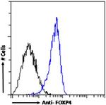 FOXP4 Chimeric Antibody in Flow Cytometry (Flow)