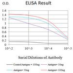 MR1 Antibody in ELISA (ELISA)
