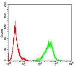 MR1 Antibody in Flow Cytometry (Flow)
