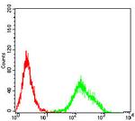 MR1 Antibody in Flow Cytometry (Flow)