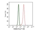 RAB8A Antibody in Flow Cytometry (Flow)