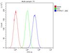 SHP2 Antibody in Flow Cytometry (Flow)