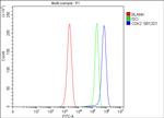 CDK2 Antibody in Flow Cytometry (Flow)