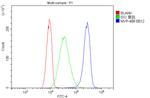 MVP Antibody in Flow Cytometry (Flow)
