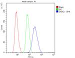 GNAQ Antibody in Flow Cytometry (Flow)