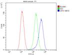 GPX1 Antibody in Flow Cytometry (Flow)