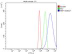 Neuropilin 1 Antibody in Flow Cytometry (Flow)