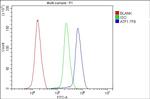 ATF1 Antibody in Flow Cytometry (Flow)