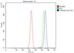 14-3-3 epsilon Antibody in Flow Cytometry (Flow)