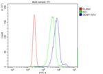 SENP1 Antibody in Flow Cytometry (Flow)