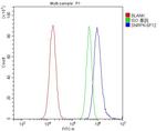 SNRPN Antibody in Flow Cytometry (Flow)