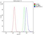 SNRPN Antibody in Flow Cytometry (Flow)