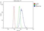 HSPB8 Antibody in Flow Cytometry (Flow)